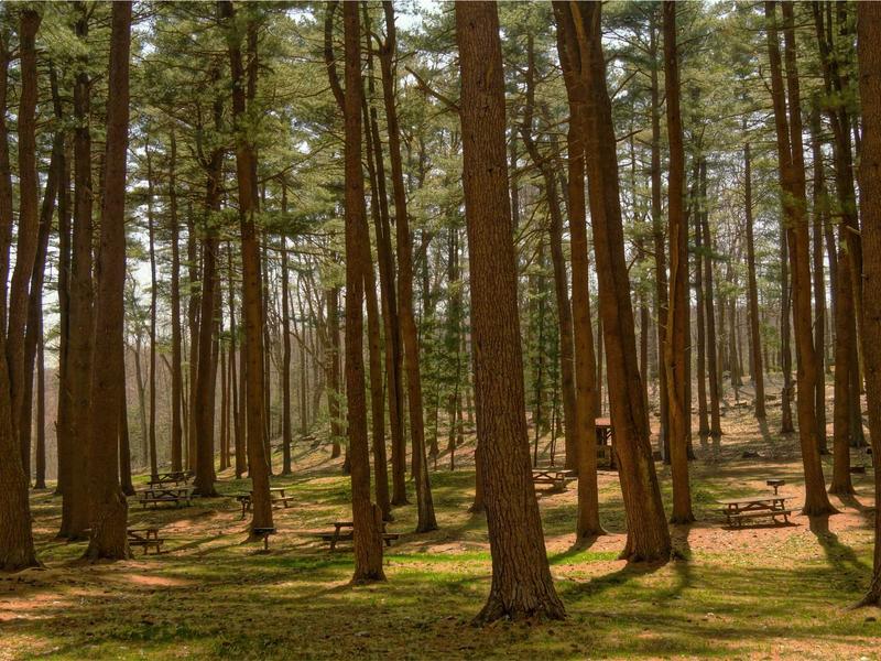 sudoku swordfish screenshot 3