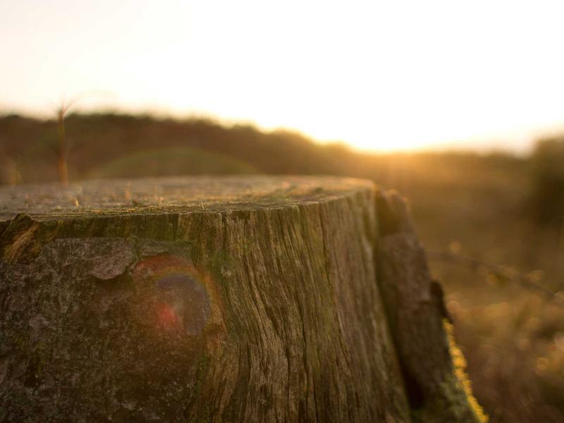 sudoku swordfish screenshot 5